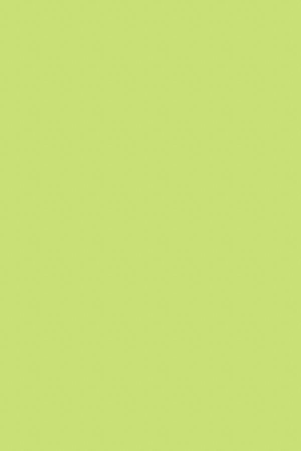 Pastel Green- 3mm Flat Waxed Shoelaces